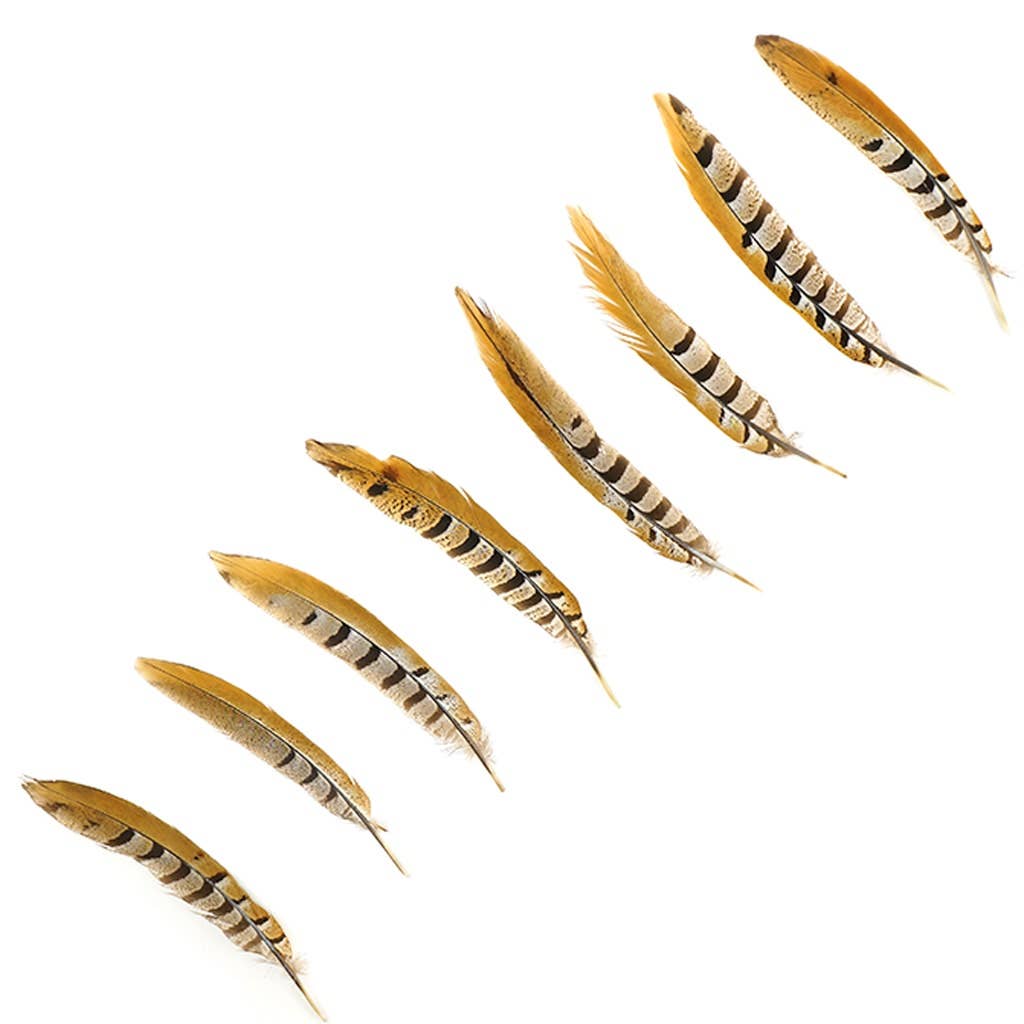 Venery Pheasant Tails - Natural - 8 - 12": Natural