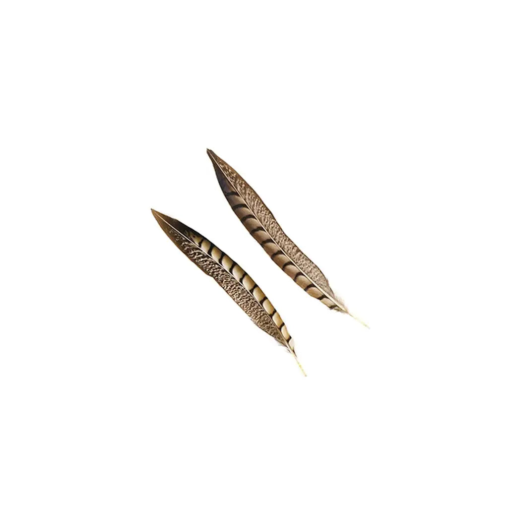 Lady Amherst Pheasant Tails - Natural - 8 - 12"