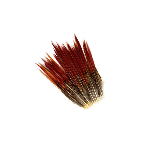 10 PC/PKG Golden Pheasant Red Top Tail Feathers 8-10"