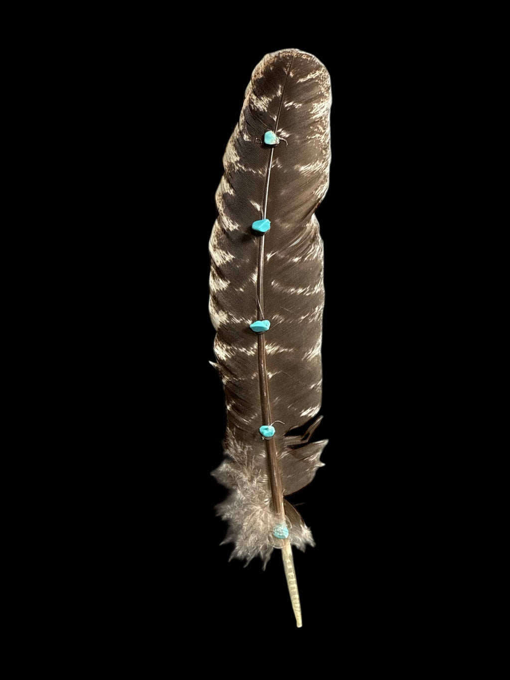 Turkey Feather with Turquoise detail