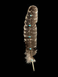 Turkey Feather with Turquoise detail