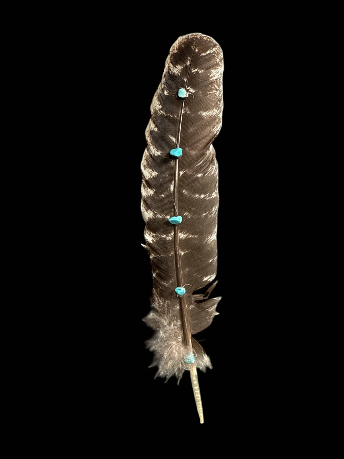 Turkey Feather with Turquoise detail