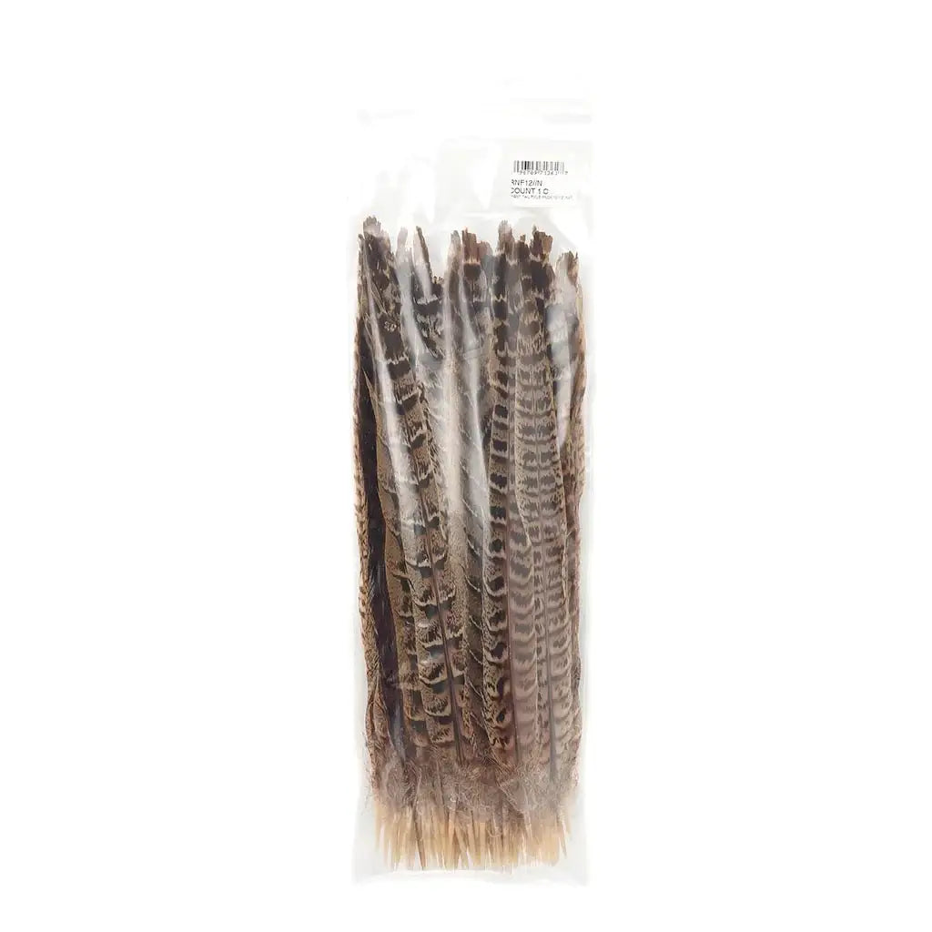 10 PC/PKG Female Ringneck Pheasant Tails 10-12" - Natural: 10 pcs