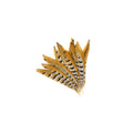 Venery Pheasant Tails - Natural - 8 - 12": Natural
