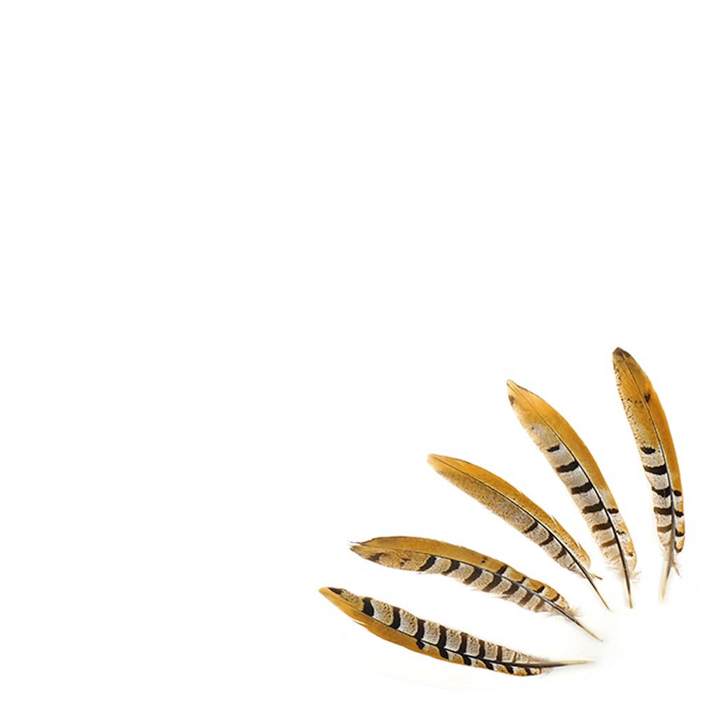 Venery Pheasant Tails - Natural - 8 - 12": Natural