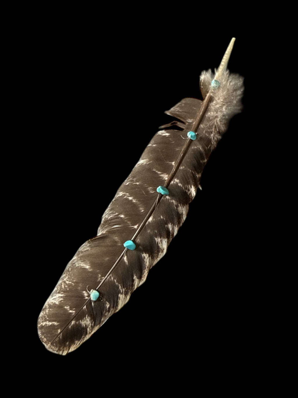 Turkey Feather with Turquoise detail