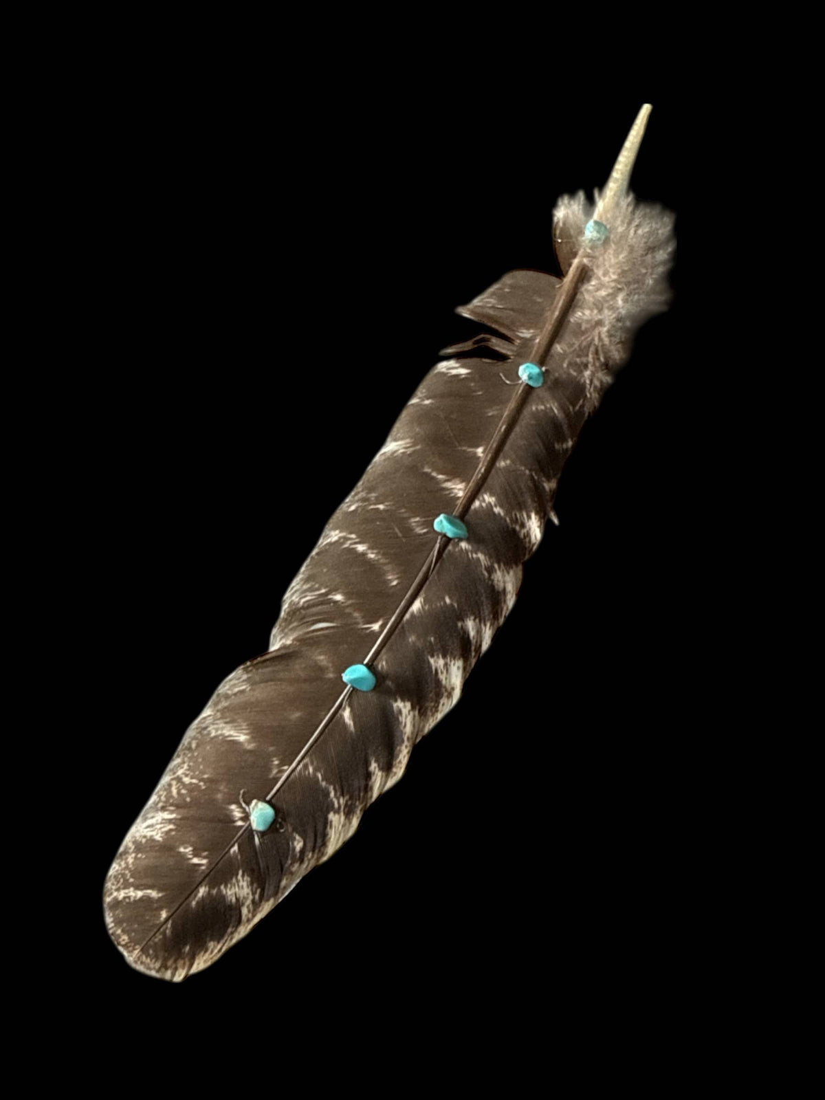 Turkey Feather with Turquoise detail
