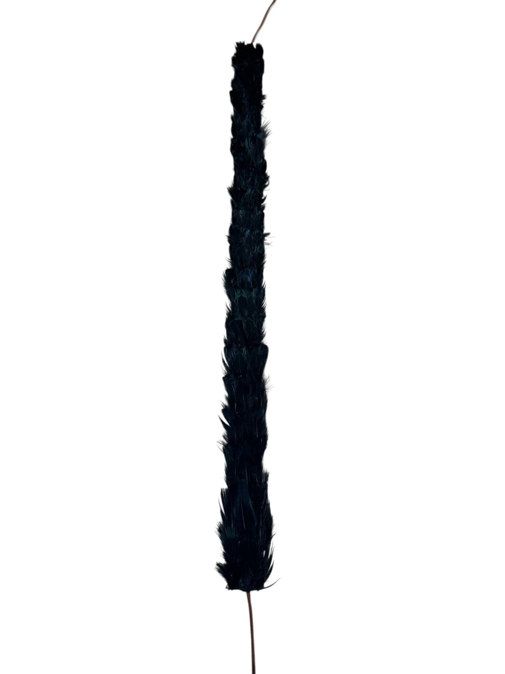 Feather hat band with strap: Feather #3