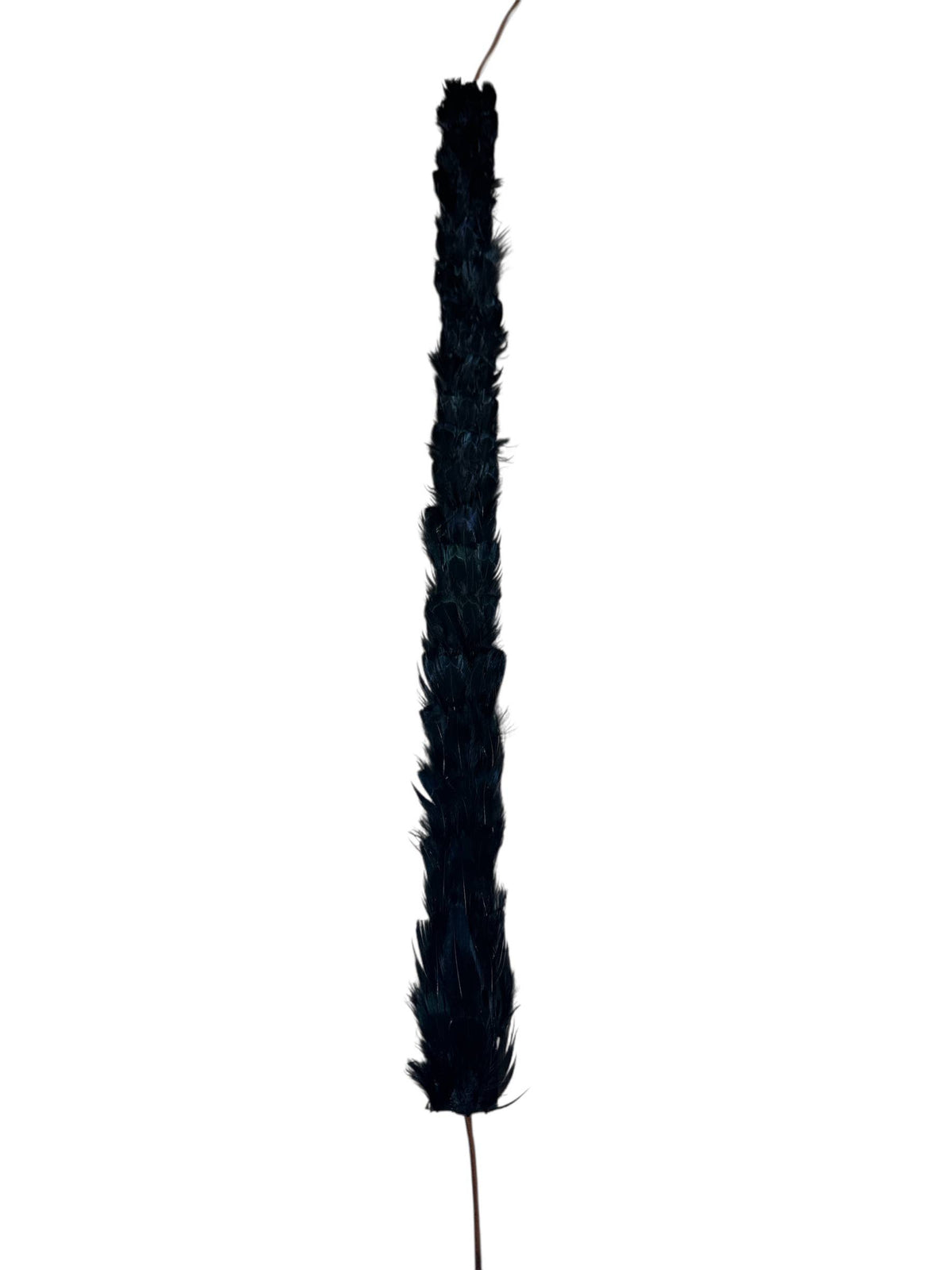 Feather hat band with strap: Feather #8