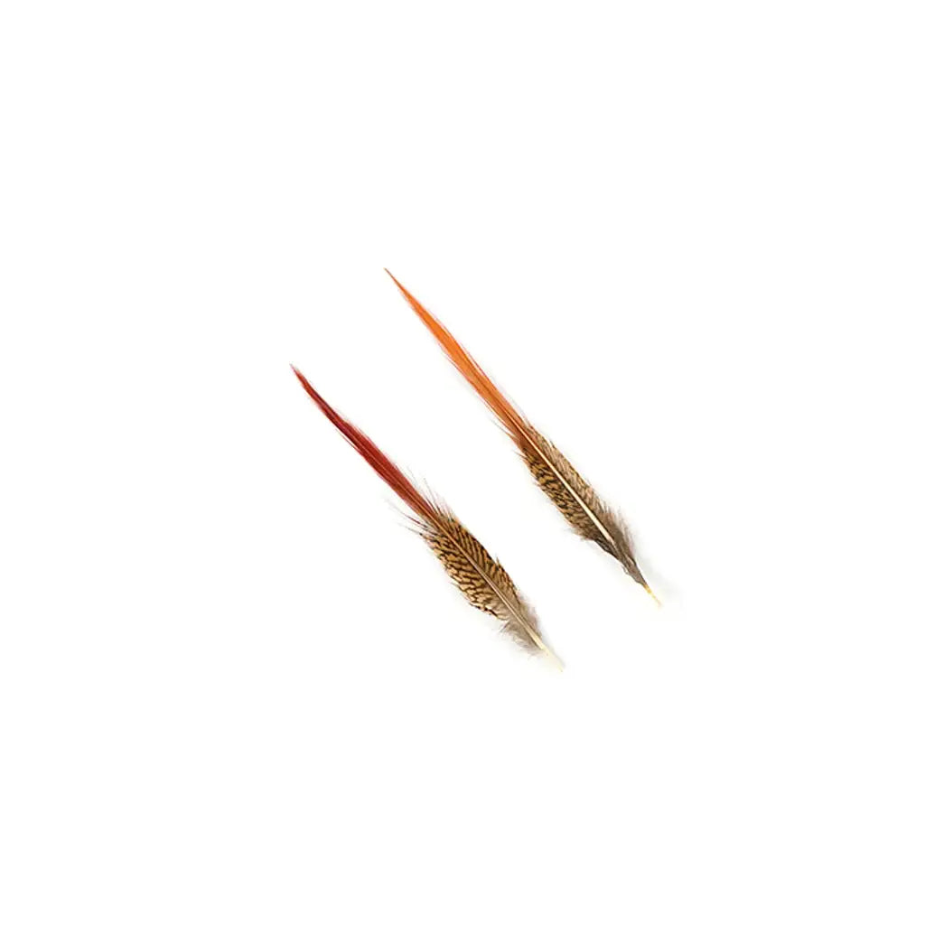 10 PC/PKG Golden Pheasant Red Top Tail Feathers 8-10"