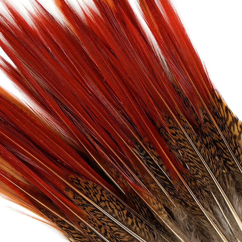 10 PC/PKG Golden Pheasant Red Top Tail Feathers 8-10"