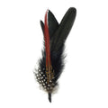 Hat Feather Trim With Black Rooster Coque and Guinea - Black