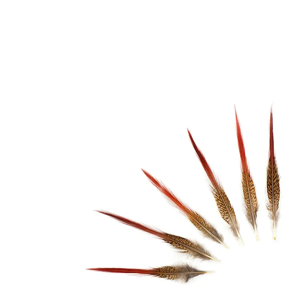 10 PC/PKG Golden Pheasant Red Top Tail Feathers 8-10"