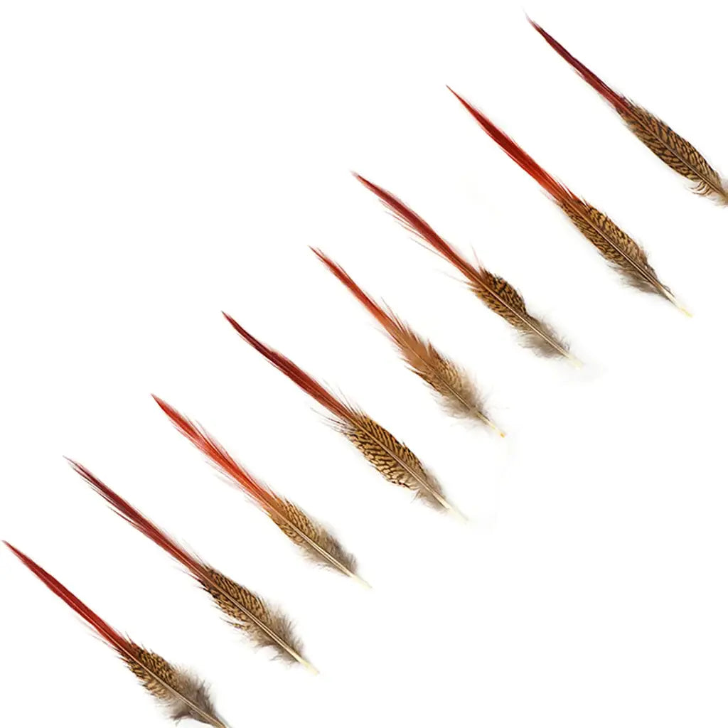 10 PC/PKG Golden Pheasant Red Top Tail Feathers 8-10"