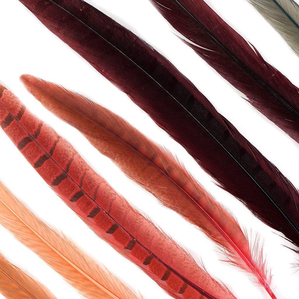 Pheasant Ringneck Tails Dyed - Designer Mix