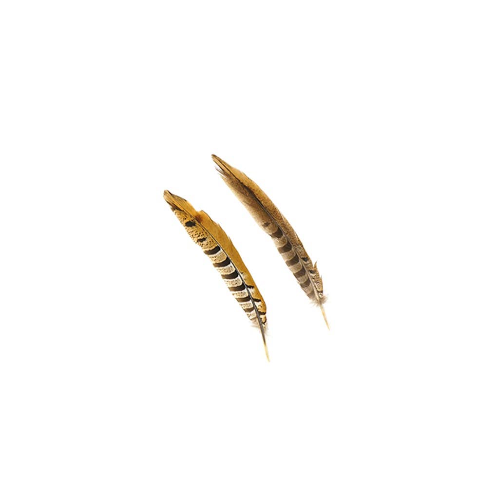 Venery Pheasant Tails - Natural - 8 - 12": Natural