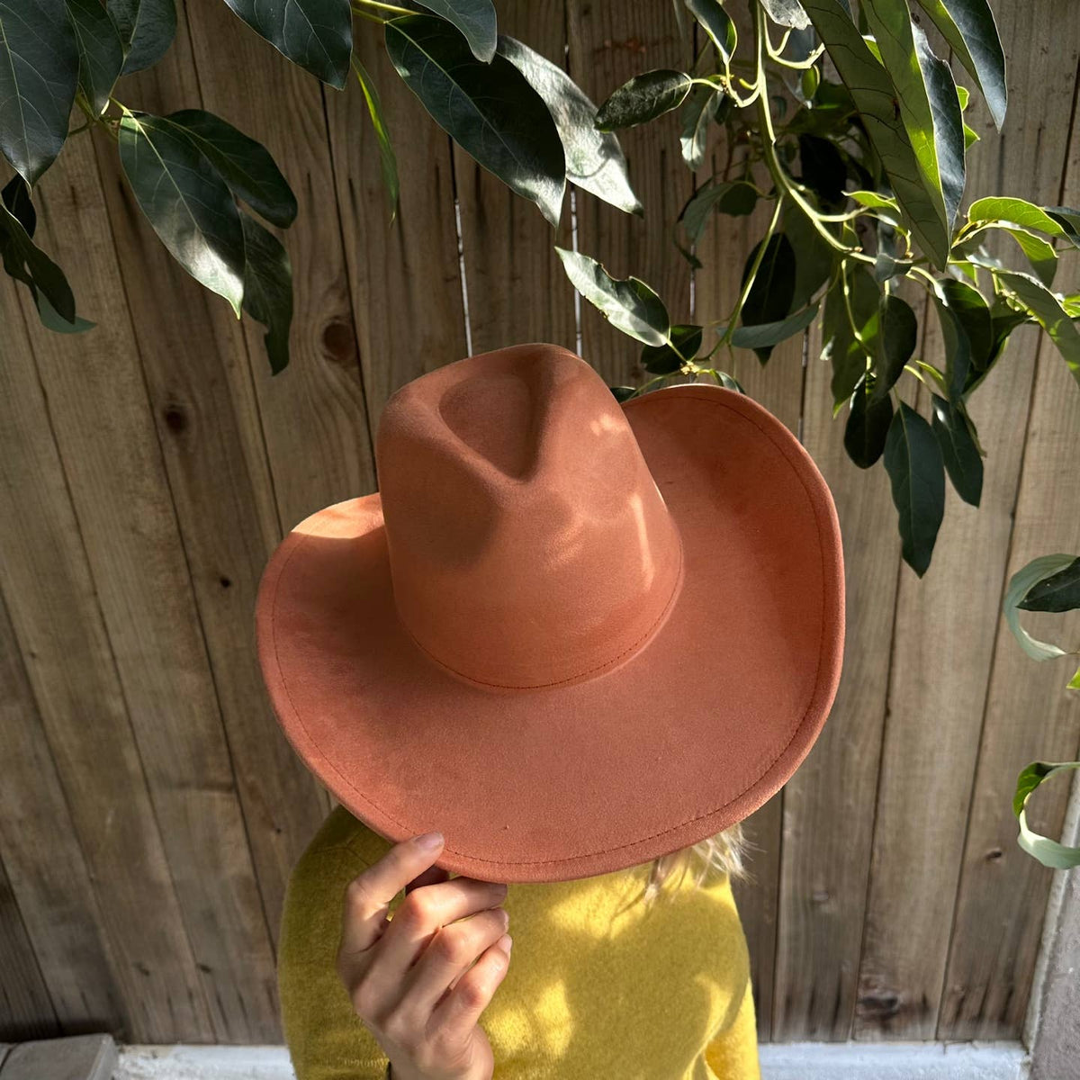 Vegan Suede Cowboy Hat: BROWN / ONE SIZE
