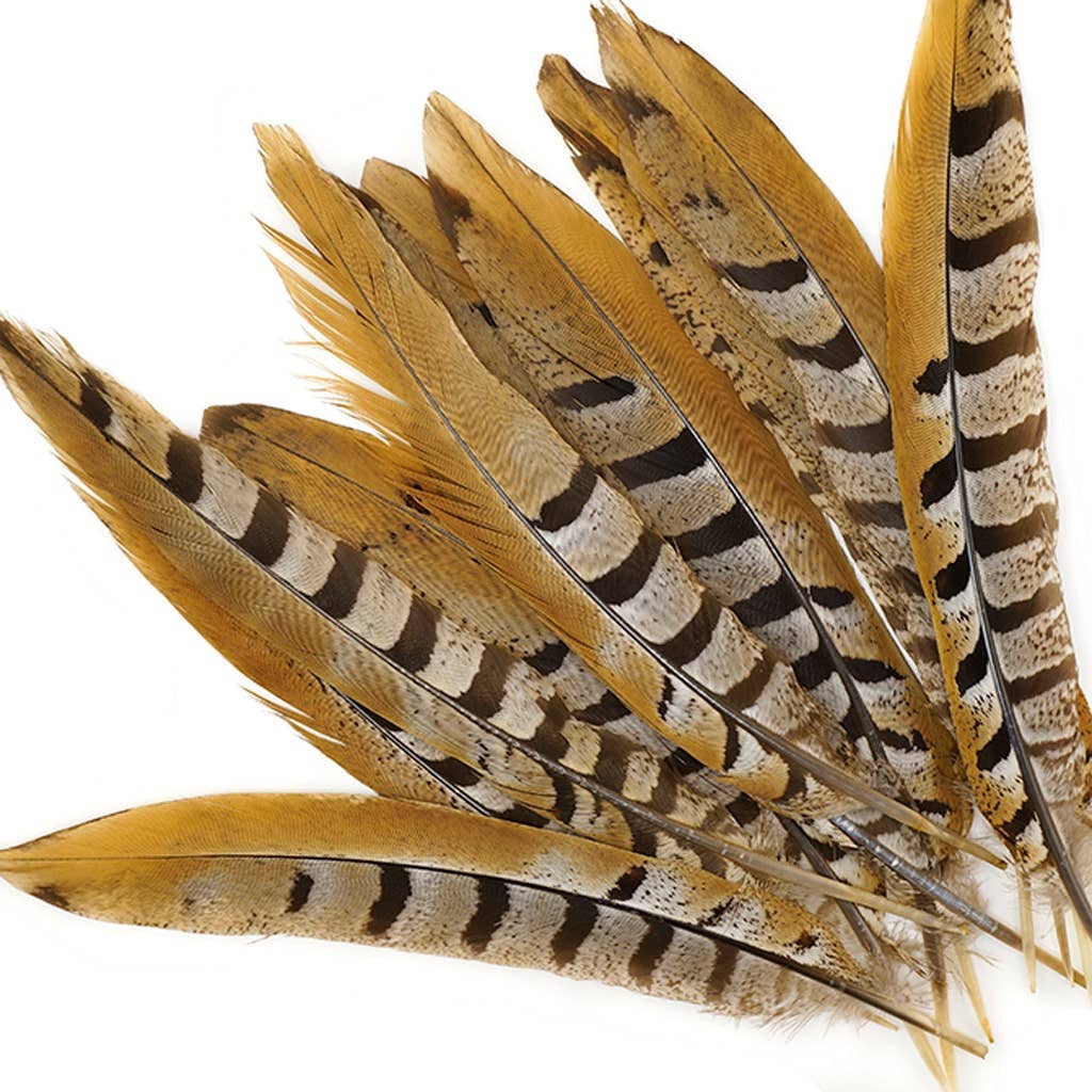 Venery Pheasant Tails - Natural - 8 - 12": Natural