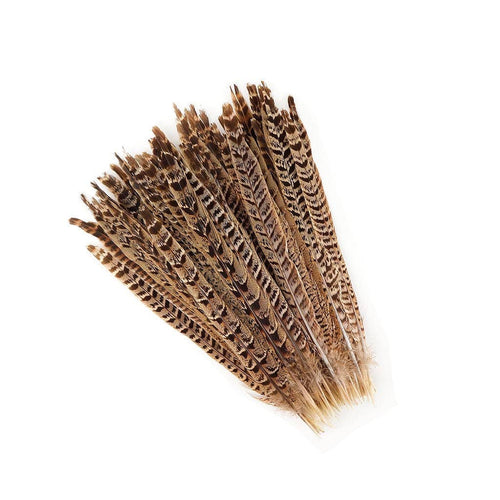 10 PC/PKG Female Ringneck Pheasant Tails 10-12" - Natural: 10 pcs