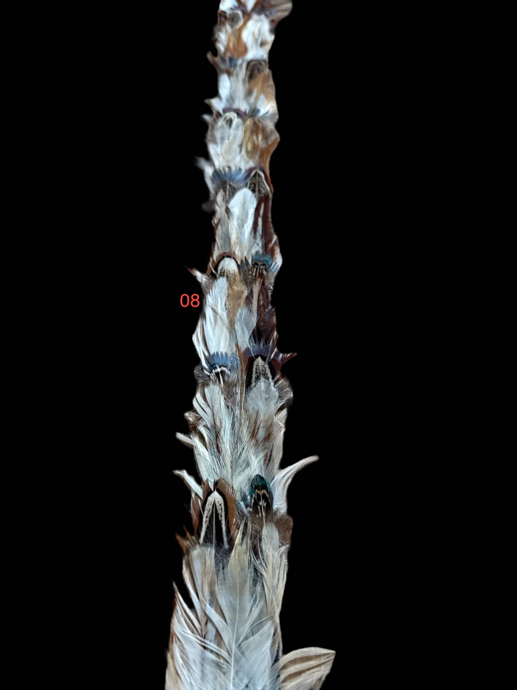 Feather hat band with strap: Feather #6