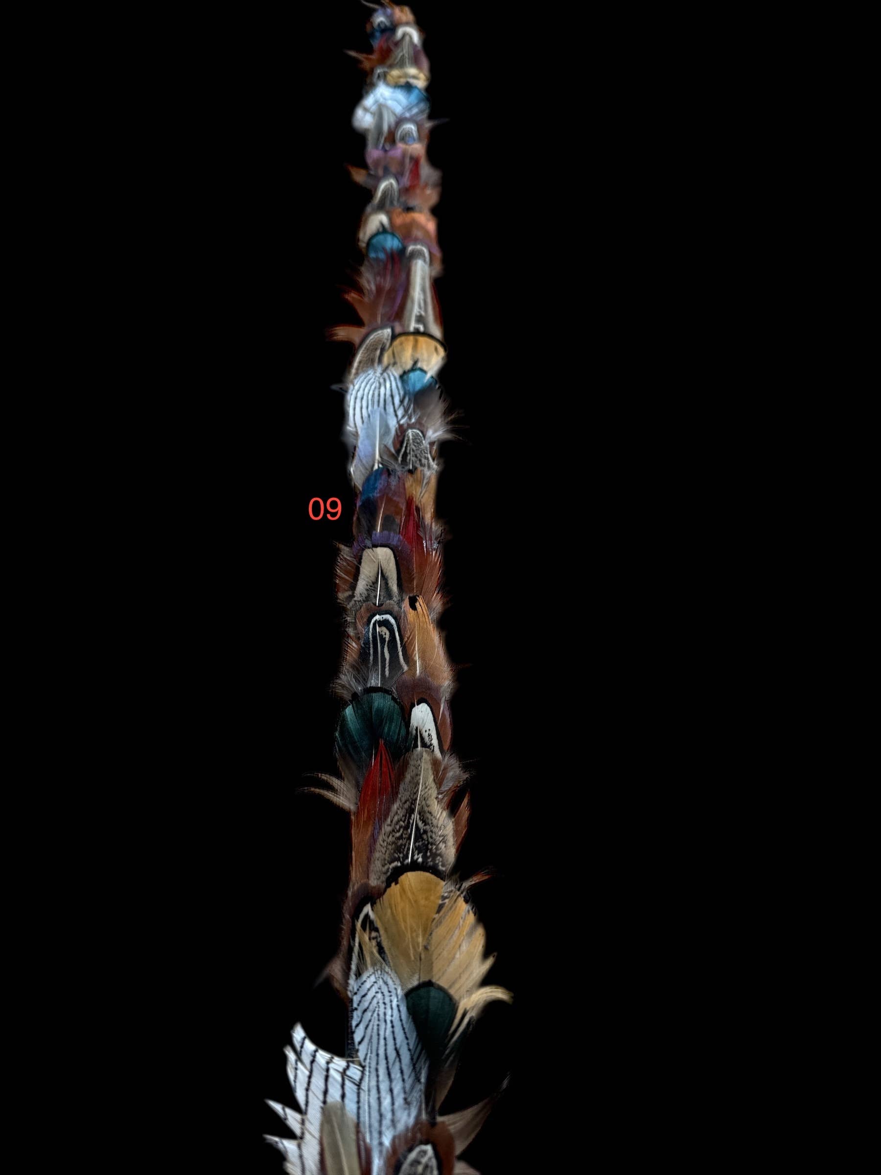 Feather hat band with strap: Feather #6