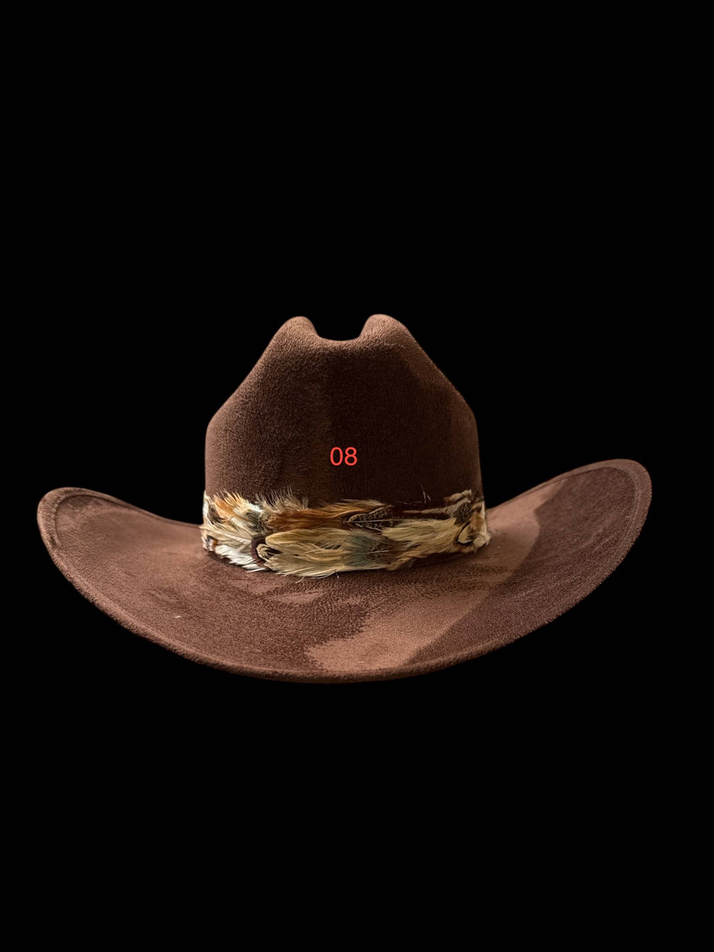 Feather hat band with strap: Feather #6
