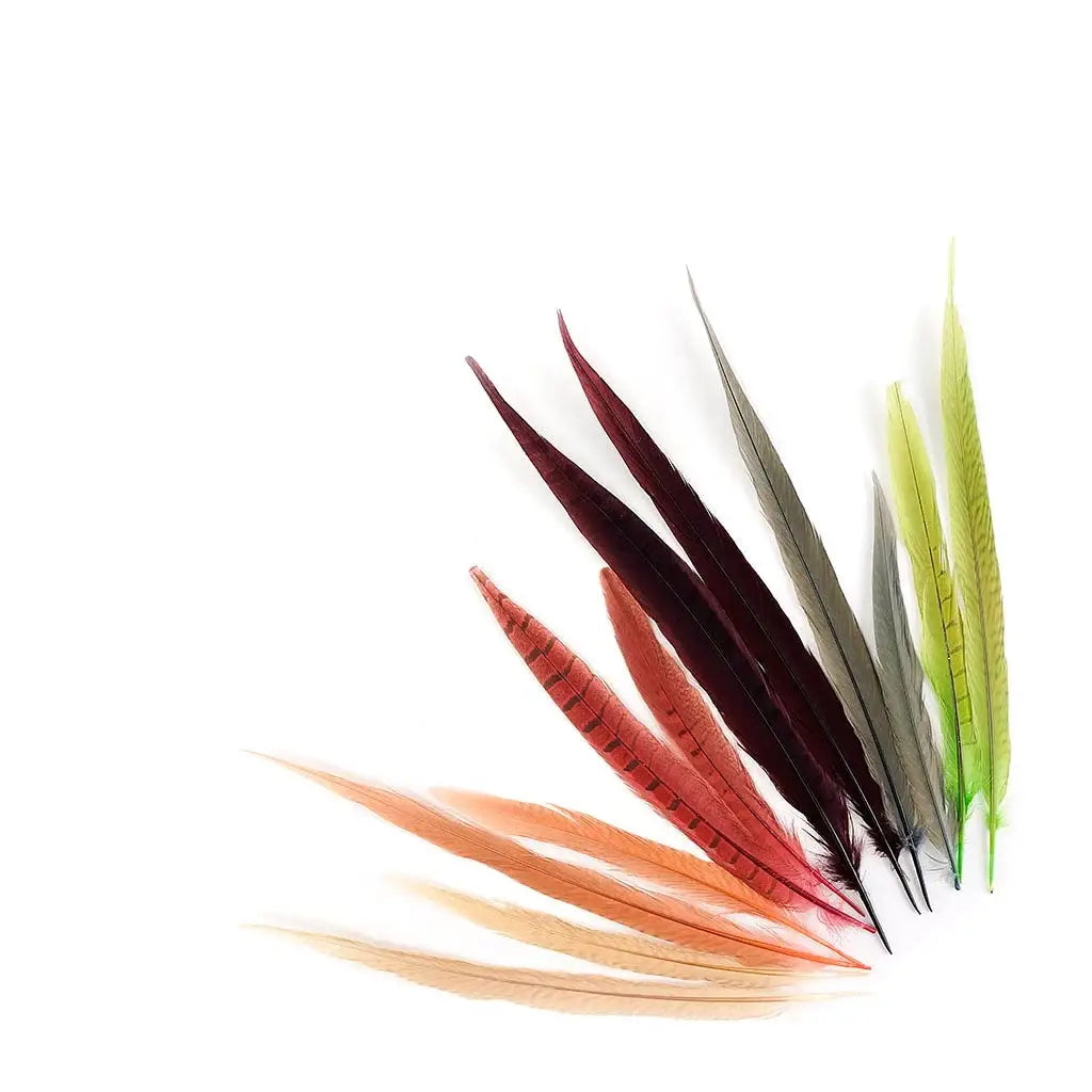 Pheasant Ringneck Tails Dyed - Designer Mix
