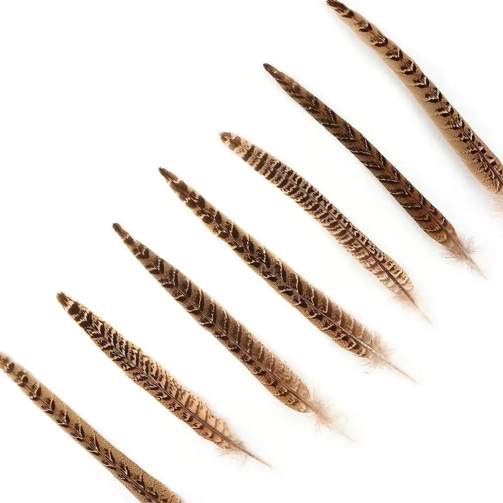 10 PC/PKG Female Ringneck Pheasant Tails 10-12" - Natural: 10 pcs