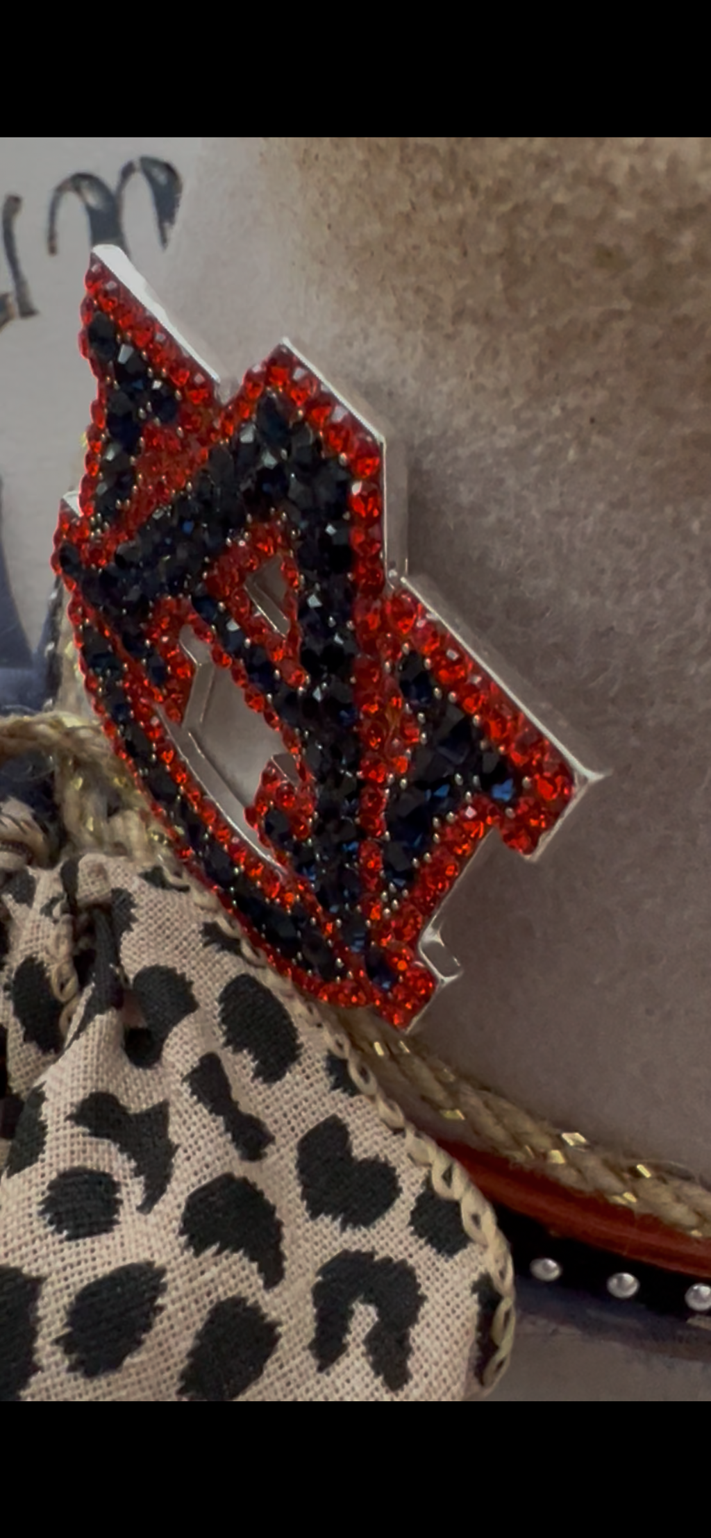 War Eagle Gone Wild- Custom Fedora